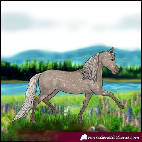 Horse Color:Silver Grullo Snowflake Varnish 