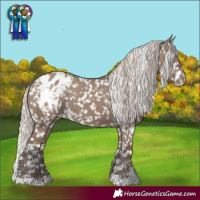 Horse Color:Silver Grullo Blanket 