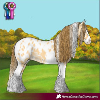 Horse Color:Buckskin Dun Splash Tobiano Blanket 