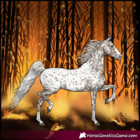Horse Color:Silver Grullo Blanket