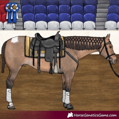 Horse Color:Bay Dun Tobiano 