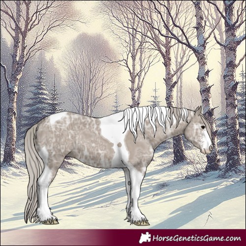 Horse Color:Silver Grullo Ice Sabino Tobiano 