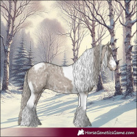 Horse Color:Silver Grullo Ice Sabino Tobiano 