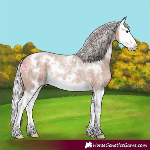 Horse Color:White Spotted Silver Bay Roan Splash 