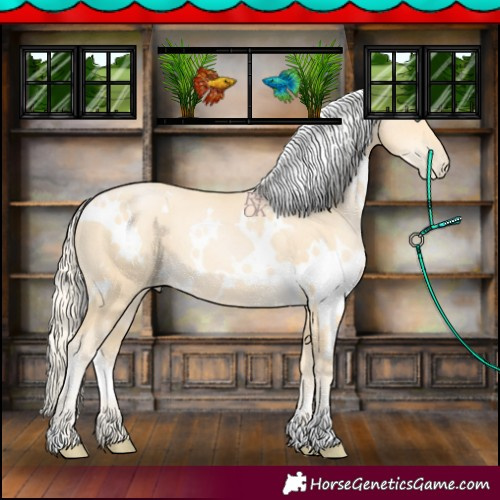 Horse Color:White Spotted Palomino Pearl
