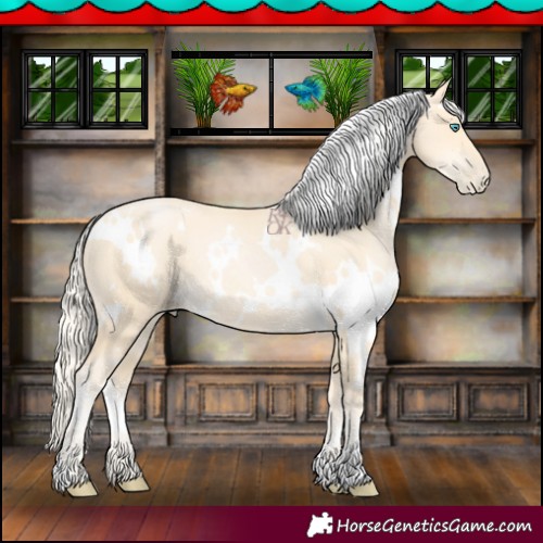 Horse Color:White Spotted Palomino Pearl 