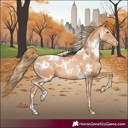 Horse Color:White Spotted Chestnut Pearl Rabicano 