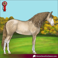 Horse Color:Buckskin Pearl Sabino