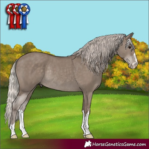Horse Color:Silver Grullo Rabicano 