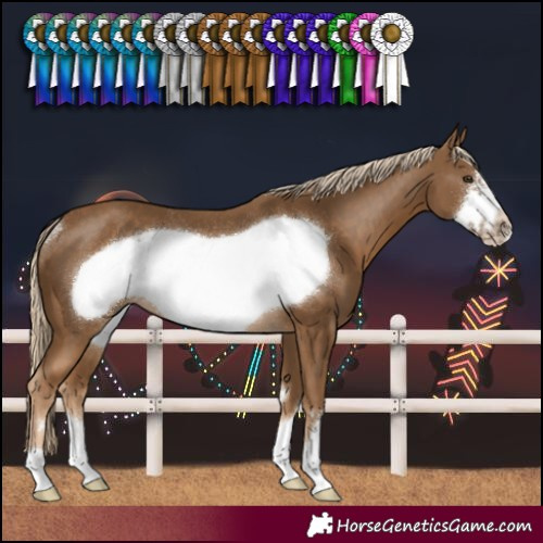 Horse Color:Chocolate Palomino Frame Rabicano 