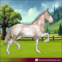 Horse Color:Chocolate Palomino Pearl Tobiano Frame and Chocolate Palomino Pearl Tobiano Frame
