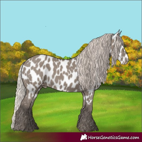 Horse Color:Silver Grullo Near Leopard