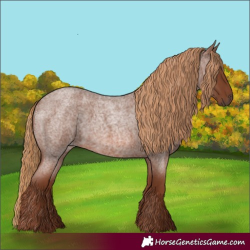 Horse Color:Red Roan 