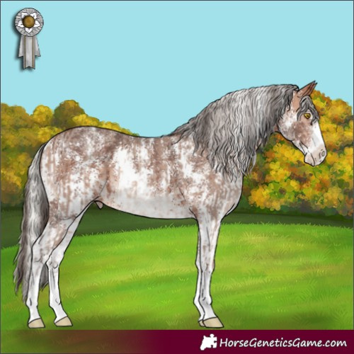 Horse Color:White Spotted Amber Champagne Sabino  and Silver Brown Sabino Appaloosa 