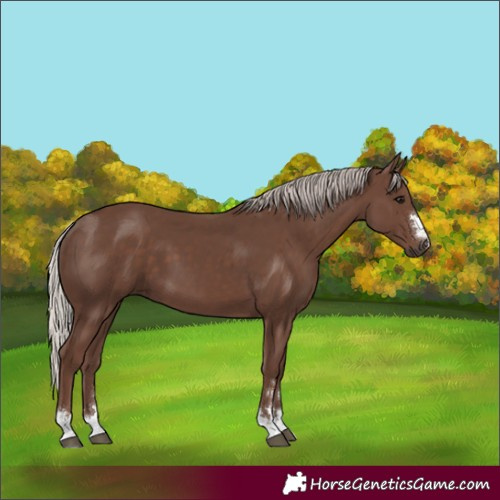 Horse Color:Silver Black 