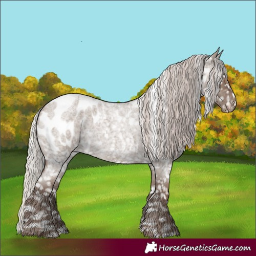 Horse Color:Silver Grullo Roan Blanket