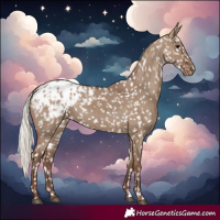 Horse Color:Silver Grullo Blanket 