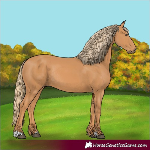 Horse Color:Chestnut Rabicano 