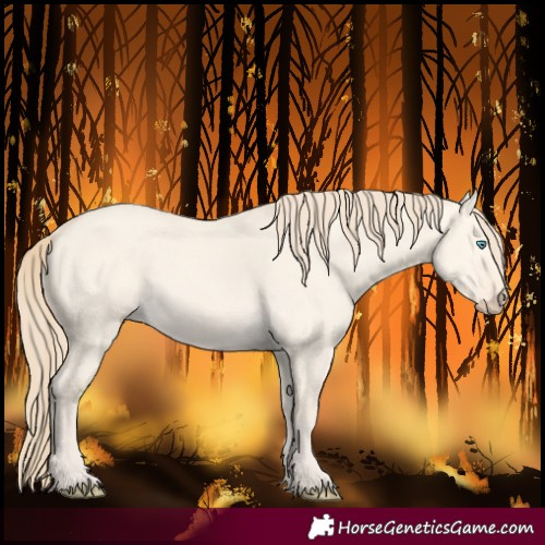Horse Color:Perlino Dun 