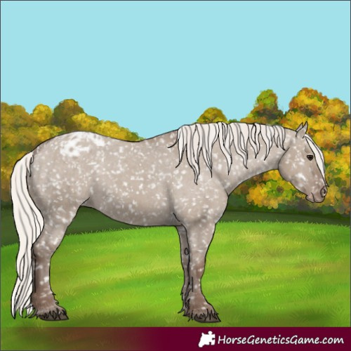 Horse Color:Silver Grullo Snowflake Varnish