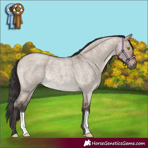 Horse Color:Brown Roan Dun 