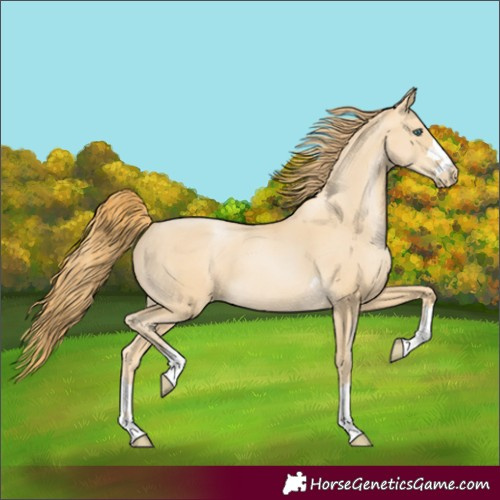 Horse Color:Smoky Black Pearl 