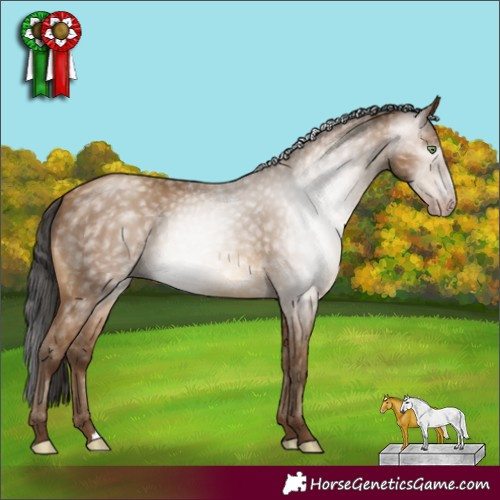Horse Color:Gray Amber Champagne Rabicano 