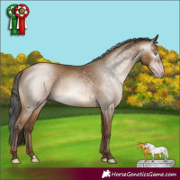 Horse Color:Gray Amber Champagne Rabicano