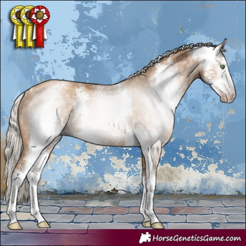 Horse Color:Gray Silver Amber Champagne Sabino Rabicano 