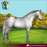 Horse Color:Gray Silver Black Varnish Rabicano 