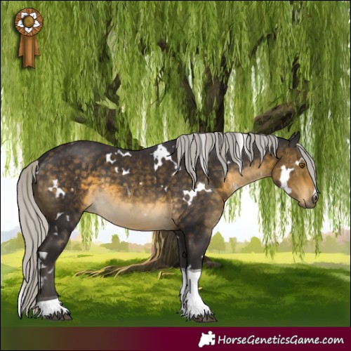 Horse Color:White Spotted Silver Buckskin Tobiano 