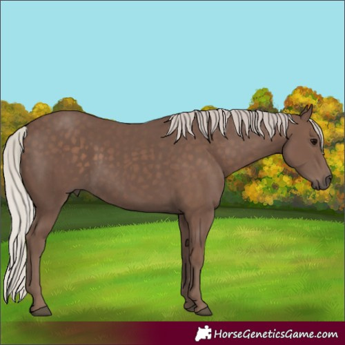 Horse Color:Silver Black 