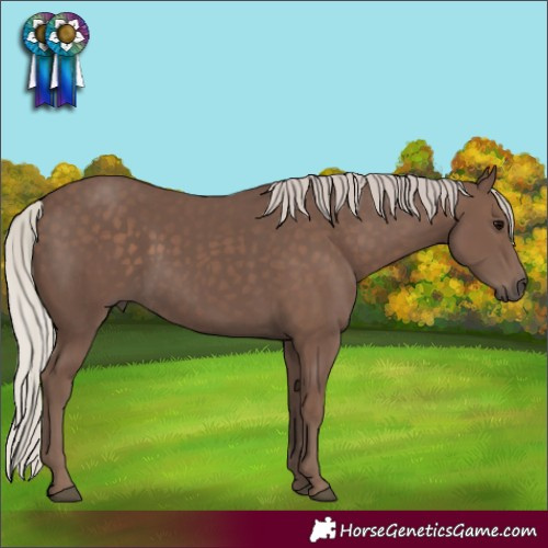 Horse Color:Silver Black 