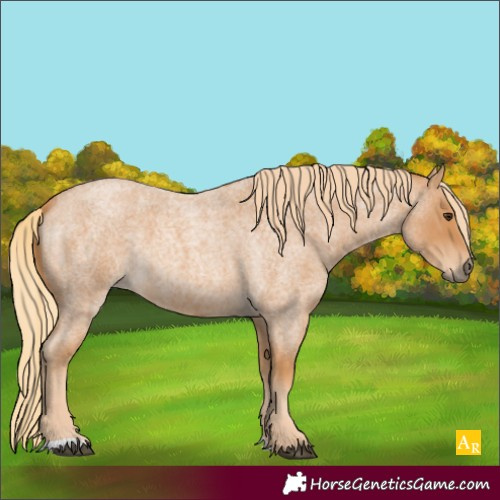Horse Color:Red Roan 