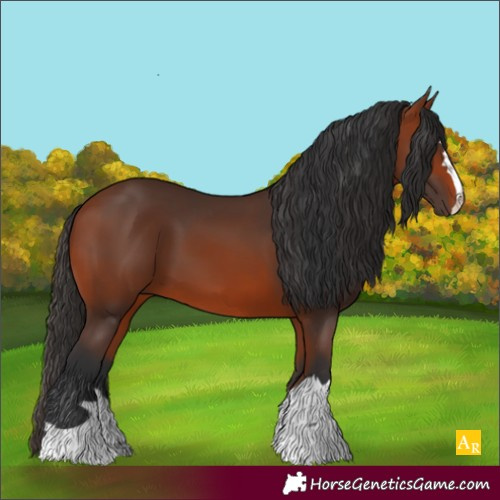 Horse Color:Bay 