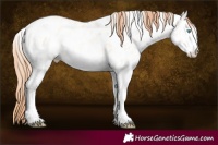 Horse Color:White Spotted Amber Cream Champagne Ice Pearl Onyx Appaloosa 