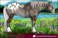 Horse Color:Silver Blue Onyx Ice Blanket 