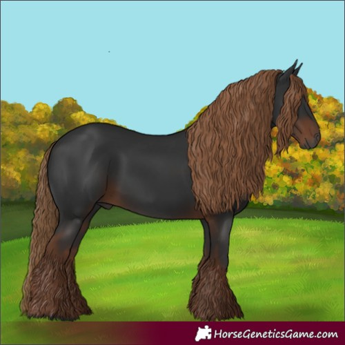 Horse Color:Gray White Spotted Liver Chestnut 