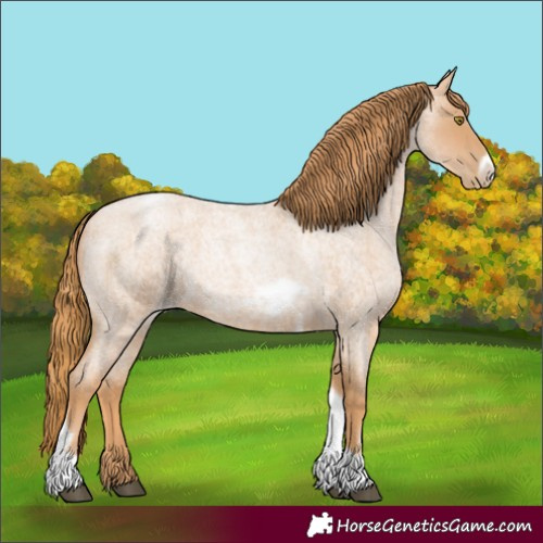 Horse Color:Red Roan Pearl Tobiano Frame 