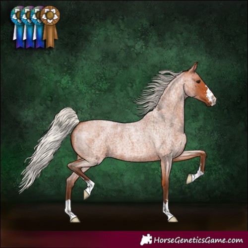 Horse Color:Silver Bay Roan 
