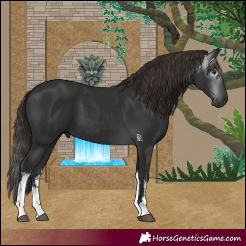 Horse Color:Gray White Spotted Liver Chestnut 