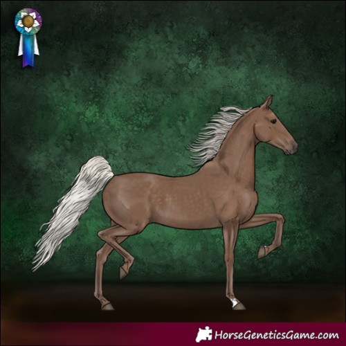 Horse Color:Silver Black