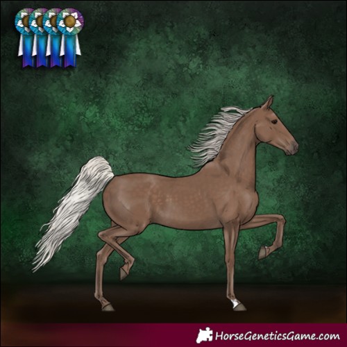 Horse Color:Silver Black 