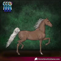 Horse Color:Silver Black