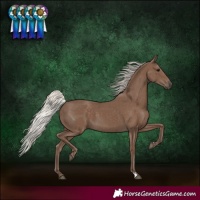 Horse Color:Silver Black 