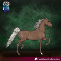 Horse Color:Silver Black