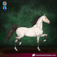 Horse Color:Bay Roan Dun