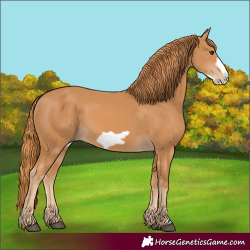 Horse Color:Chestnut Frame