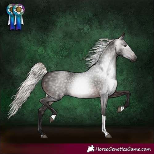 Horse Color:Gray Silver Brown Tobiano 