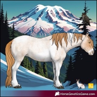 Horse Color:Red Roan Pearl Tobiano Frame
